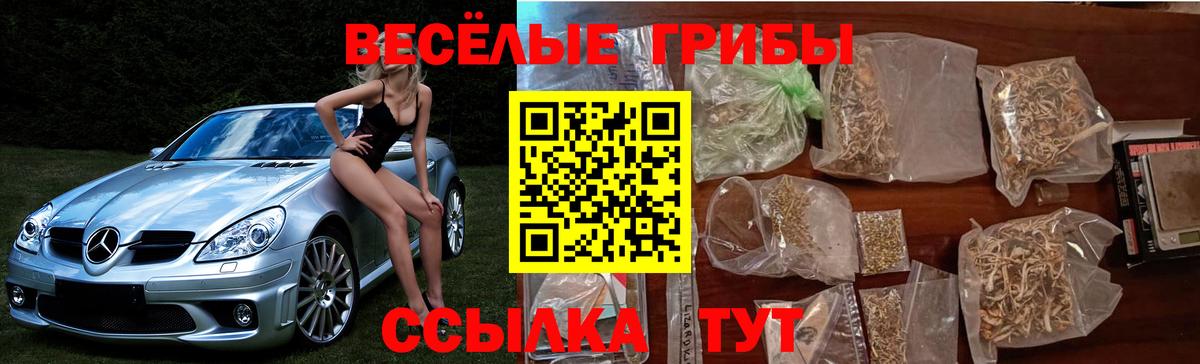 Псилоцибиновые грибы GOLDEN TEACHER Бузулук